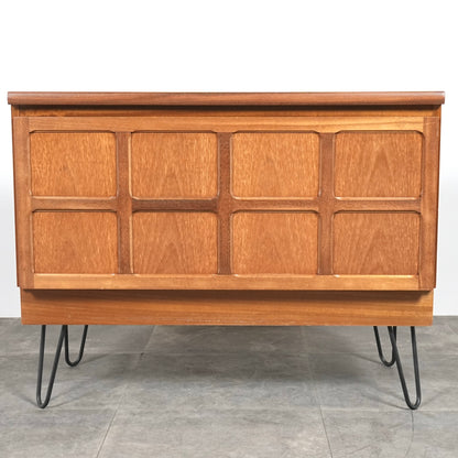 【NATHAN】ヴィンテージ キャビネット(ヘアピンカスタム)